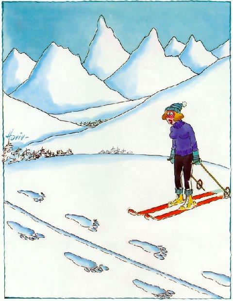hiver20.jpg